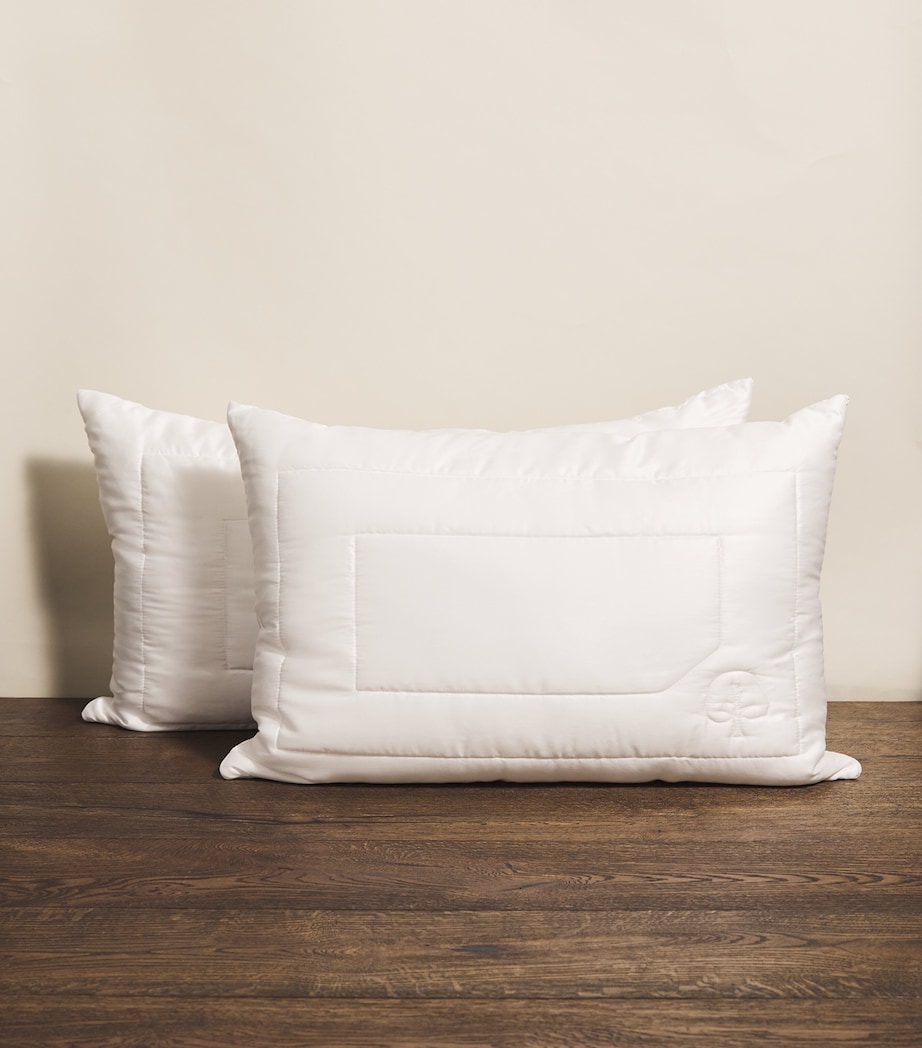 Eco Control Standard Pillow (50cm x 75cm) WHITE Image 2