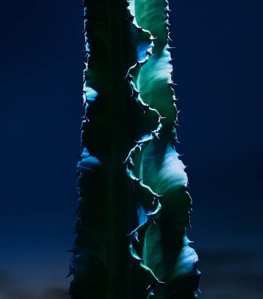 Sauvage The Serum (50ml) BLUE Image 4