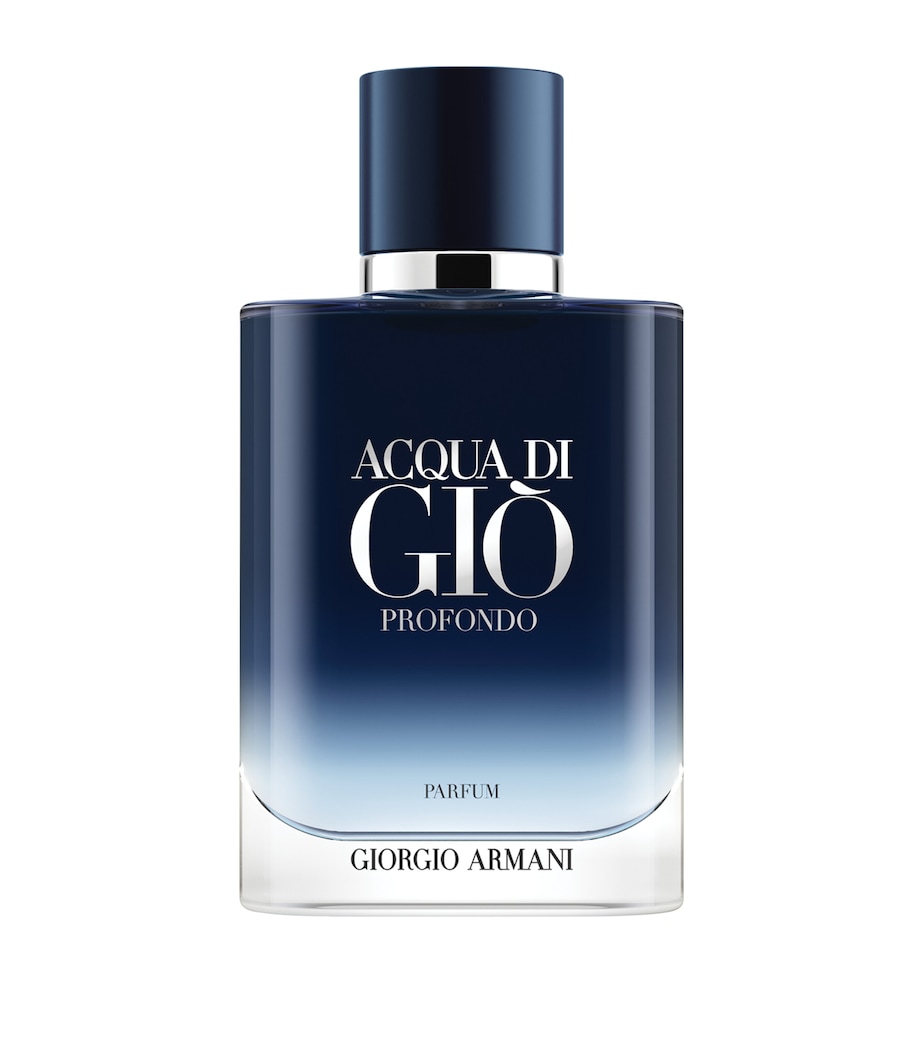 Acqua Di Giò Profondo Parfum (100ml) NO COLOUR Image 1