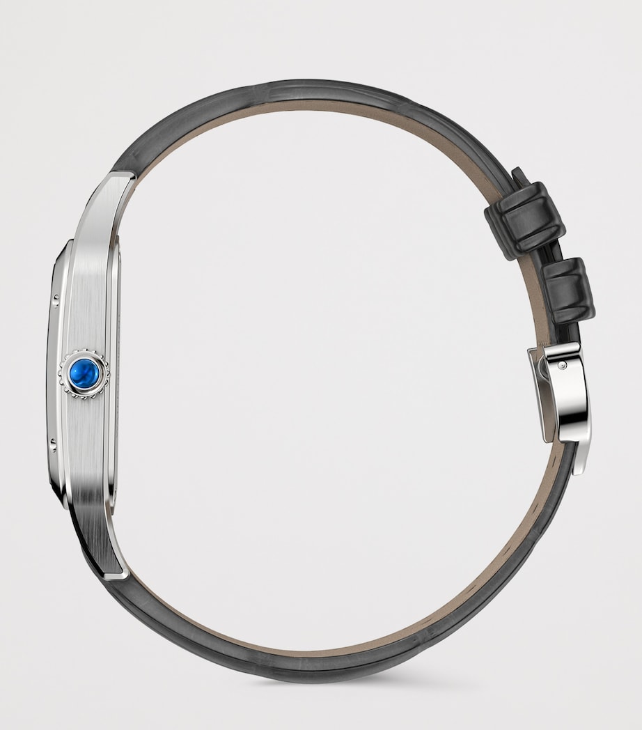 Stainless Steel Santos-Dumont Skeleton Watch 31mm STEEL Image 6