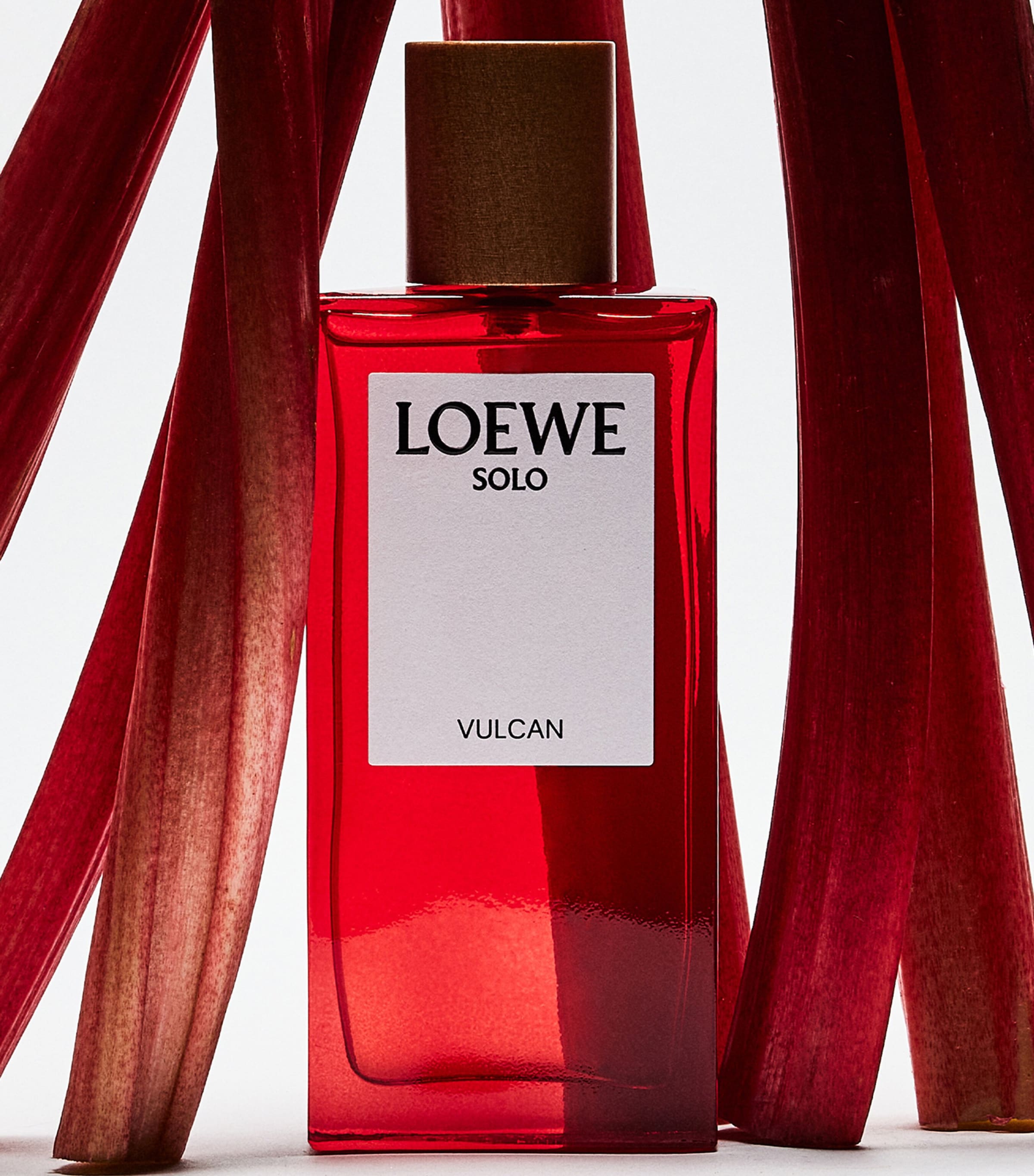 LOEWE Perfumes Solo Vulcan Eau de Parfum (100ml) | Harrods US