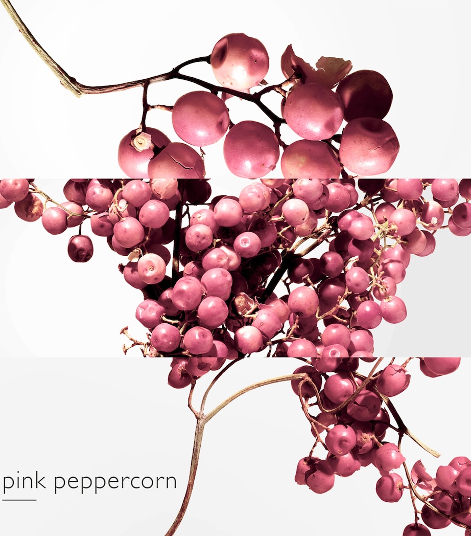 Twilly d'Hermès Eau Poivrée Eau de Parfum (50ml) NO COLOUR Image 4