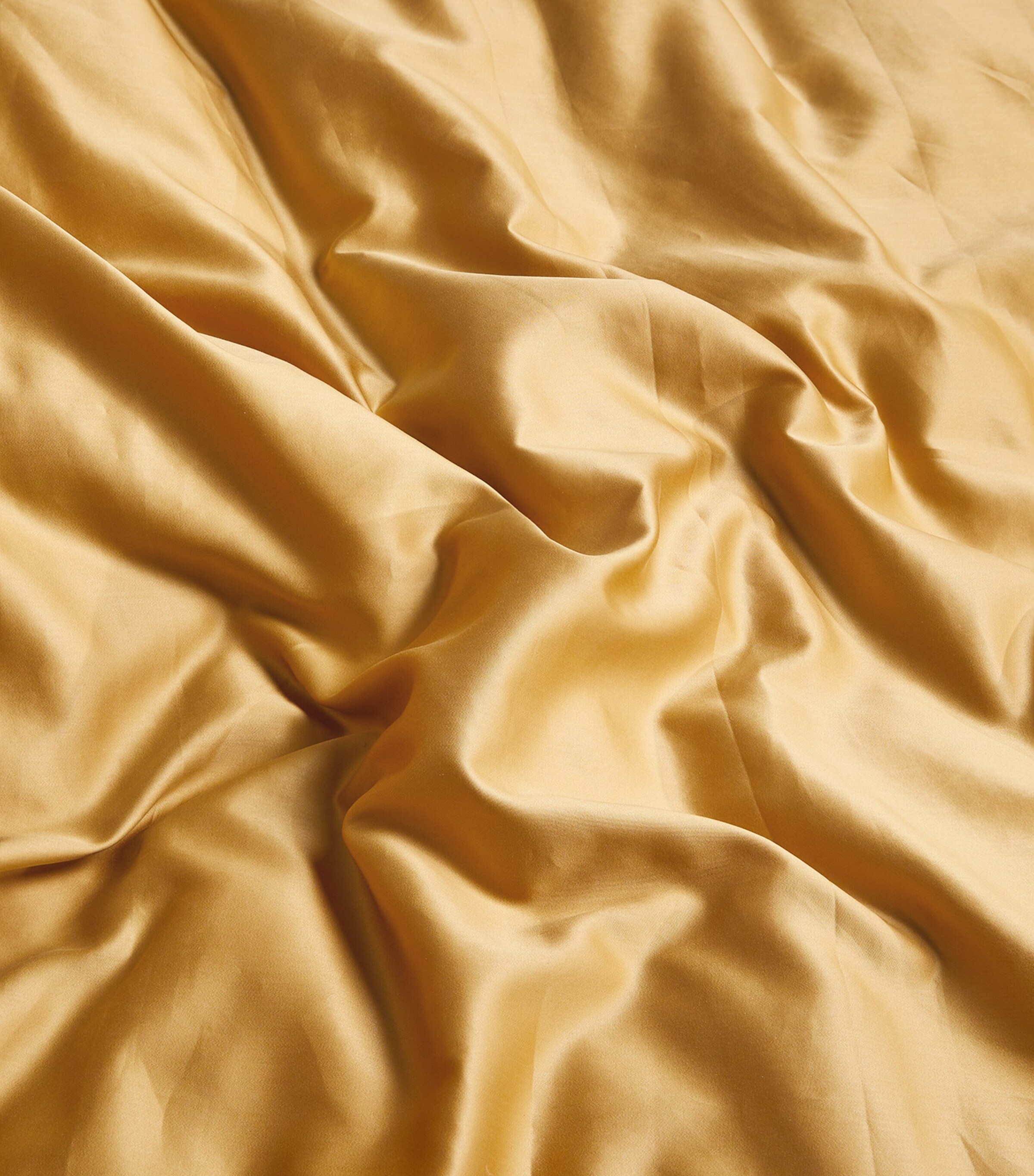 Celso De Lemos Bourdon Oxford Pillowcase (50cm x 75cm) Miel Image 6