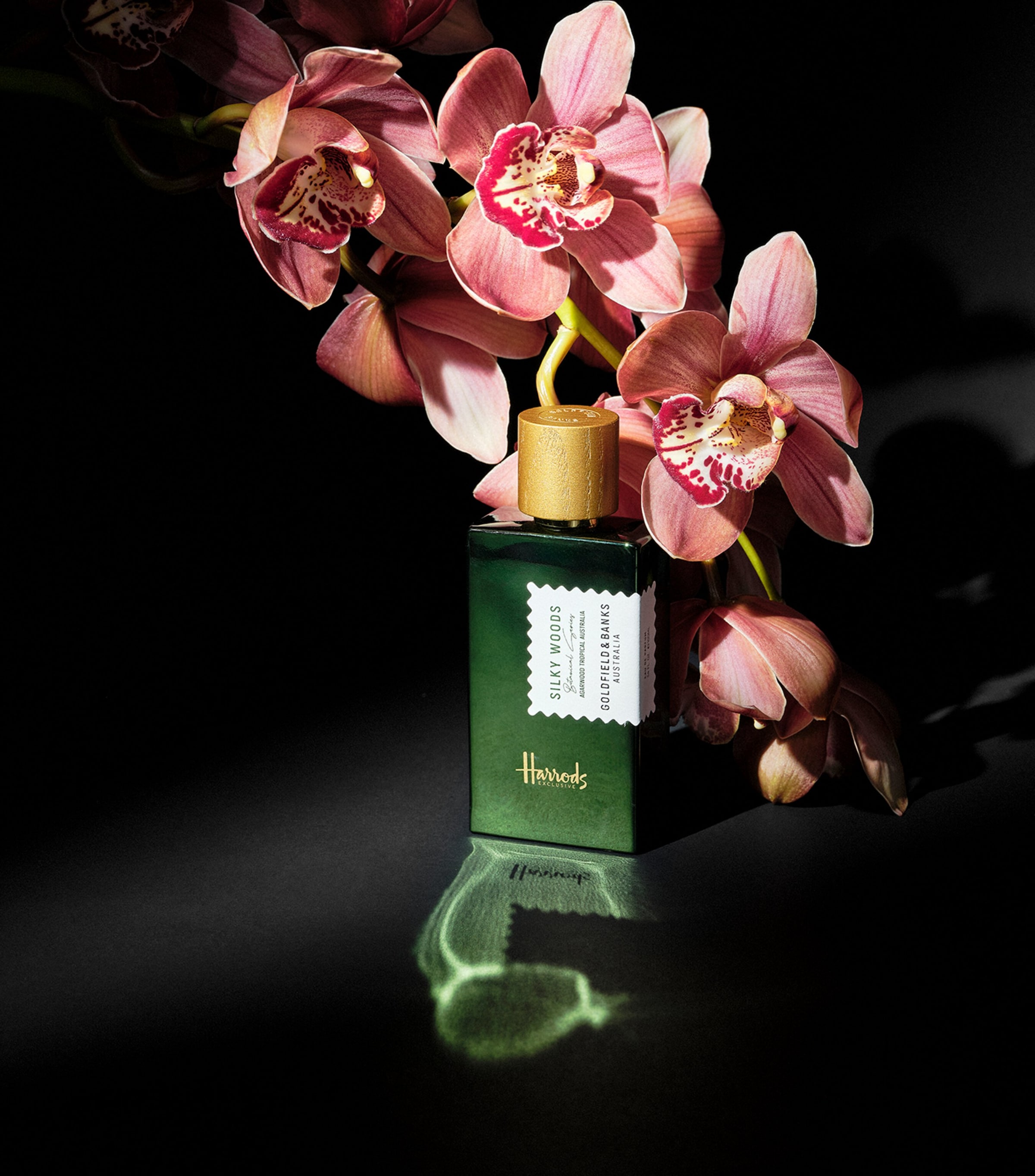 x Harrods Silky Woods Eau de Parfum (100ml) NO COLOUR Image 5