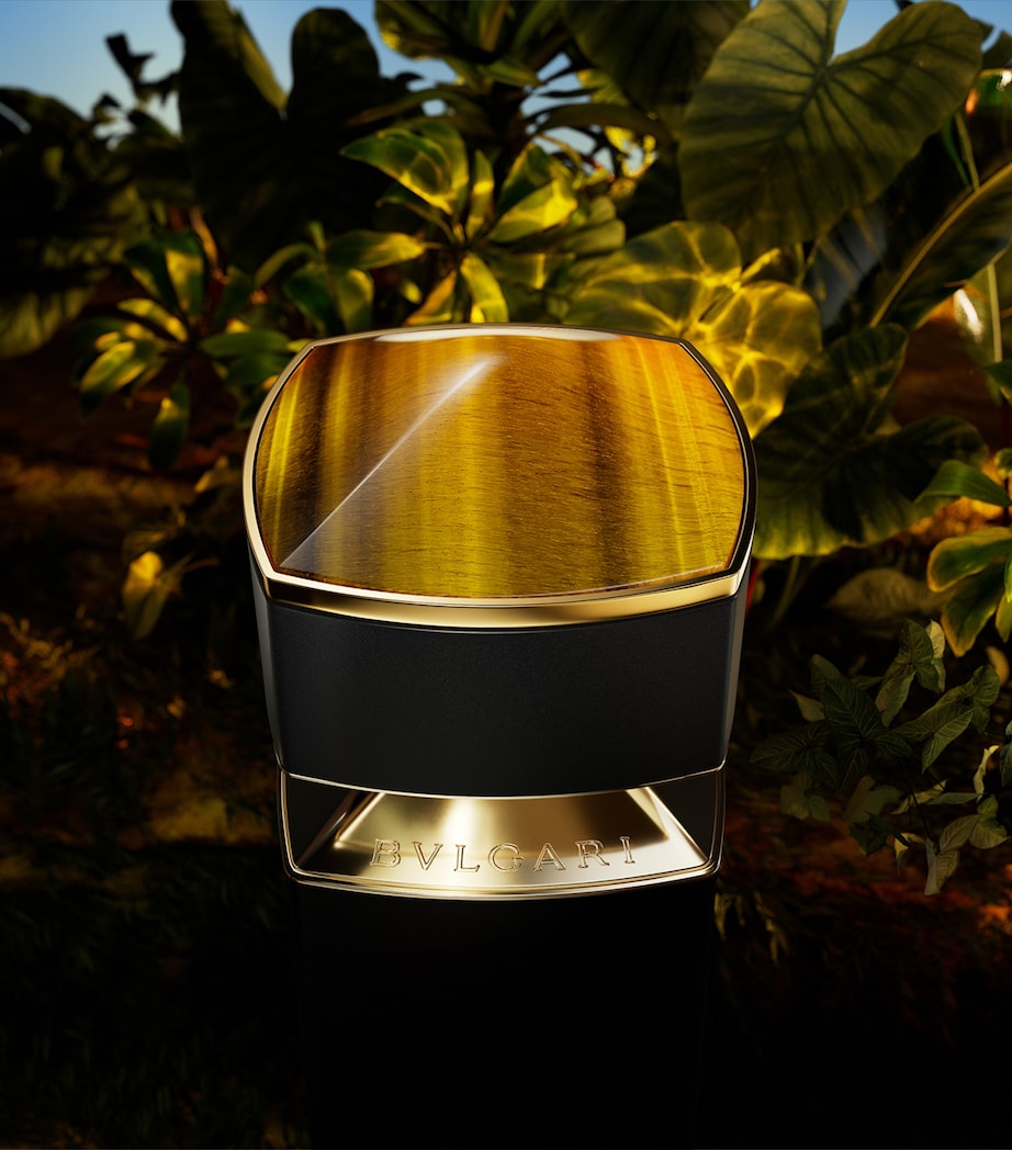 Le Gemme Tygar Eau de Parfum (60ml) NO COLOUR Image 2