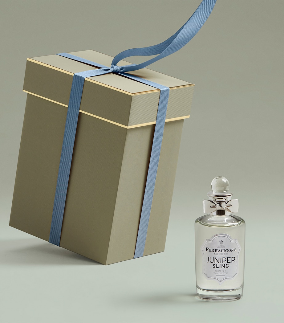 Juniper Sling Eau de Toilette (100ml) NO COLOUR Image 5