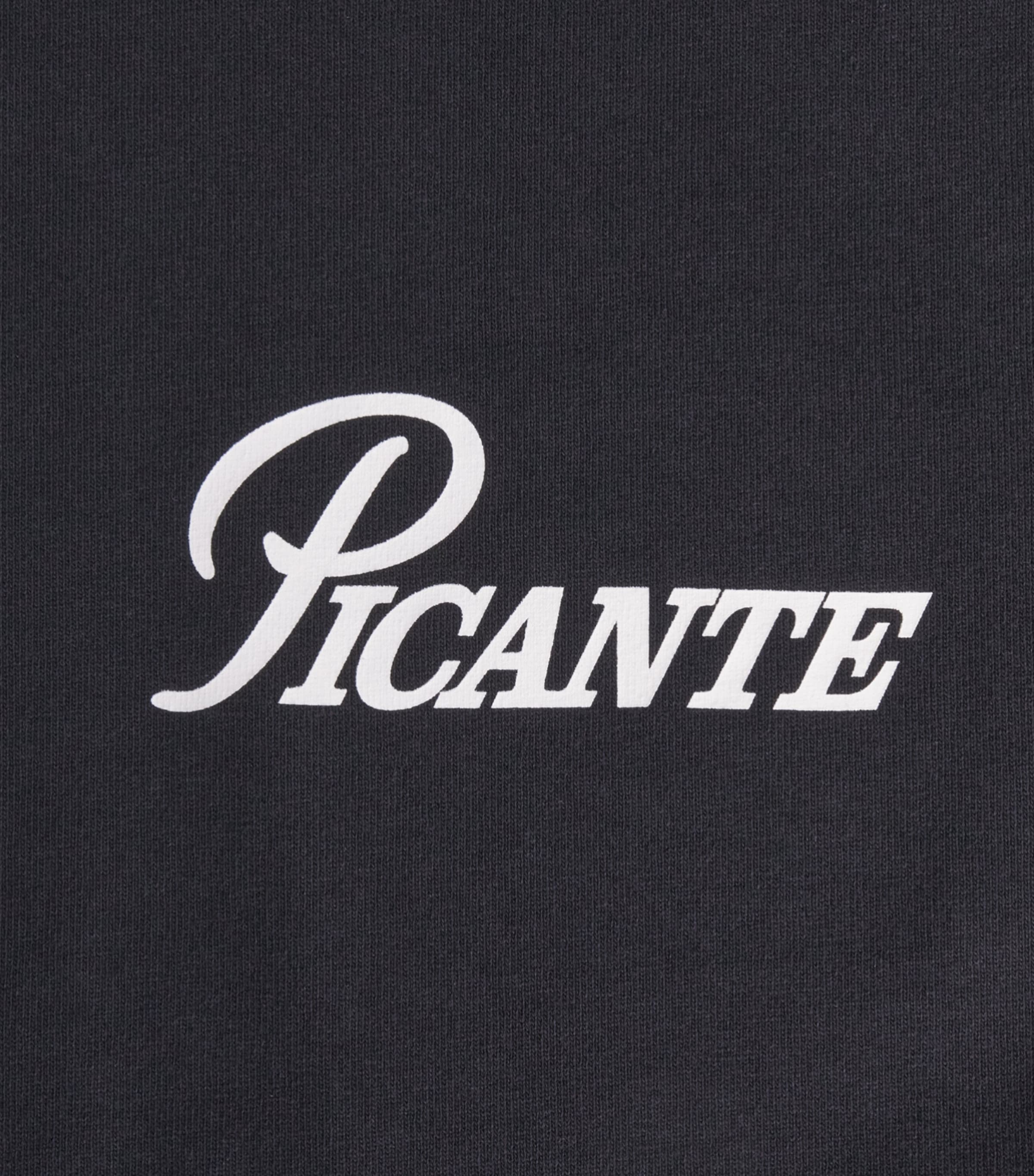 Picante Mens Organic Cotton Record T-Shirt Black Image 6