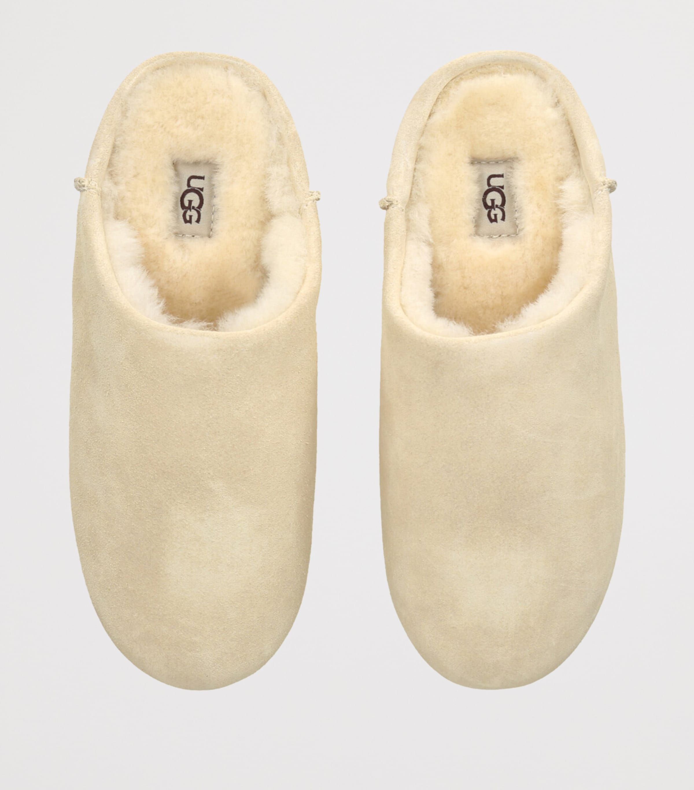 Suede Elea Slippers PALE BUTTERCUP Image 4