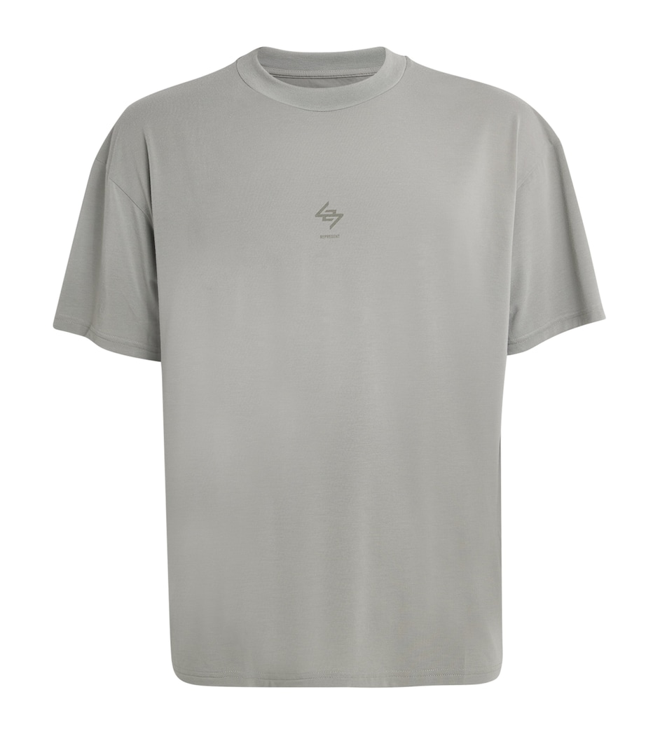 247 Motion Oversized T-Shirt SAGE Image 1