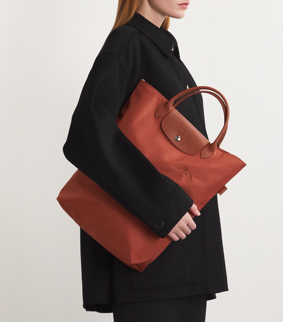 Medium Le Pliage Green Tote Bag 404 CHESTNUT Image 5