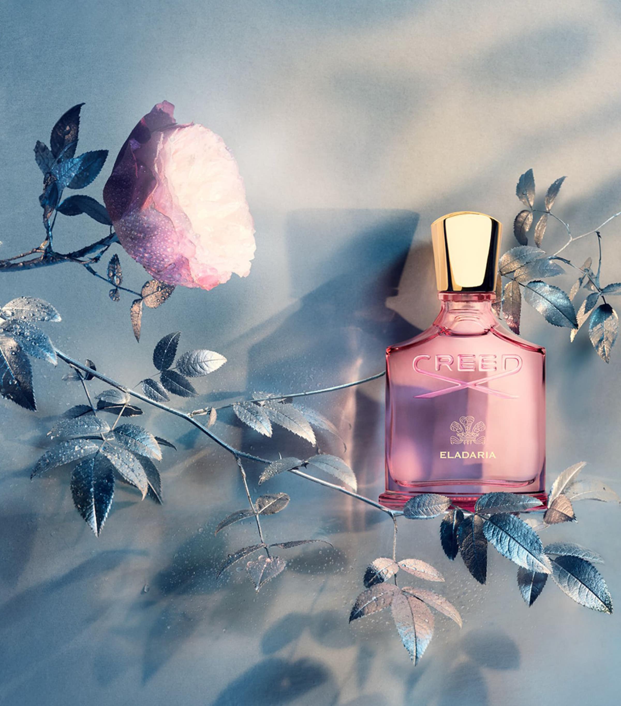 大人気新品をすべて de Eau Eladaria Creed Parfum US Harrods | (75ml) 香水(ユニセックス)