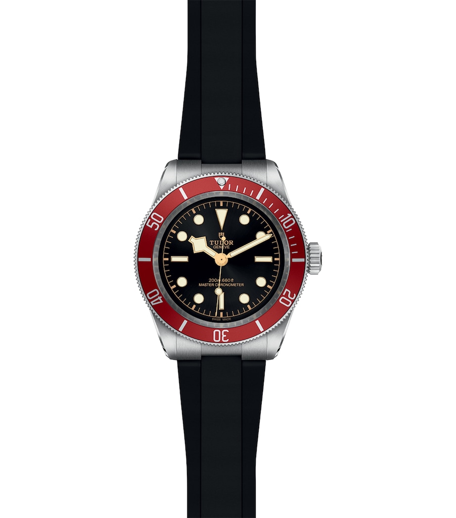 TUDOR Stainless Steel Black Bay Watch 41mm Black Image 2