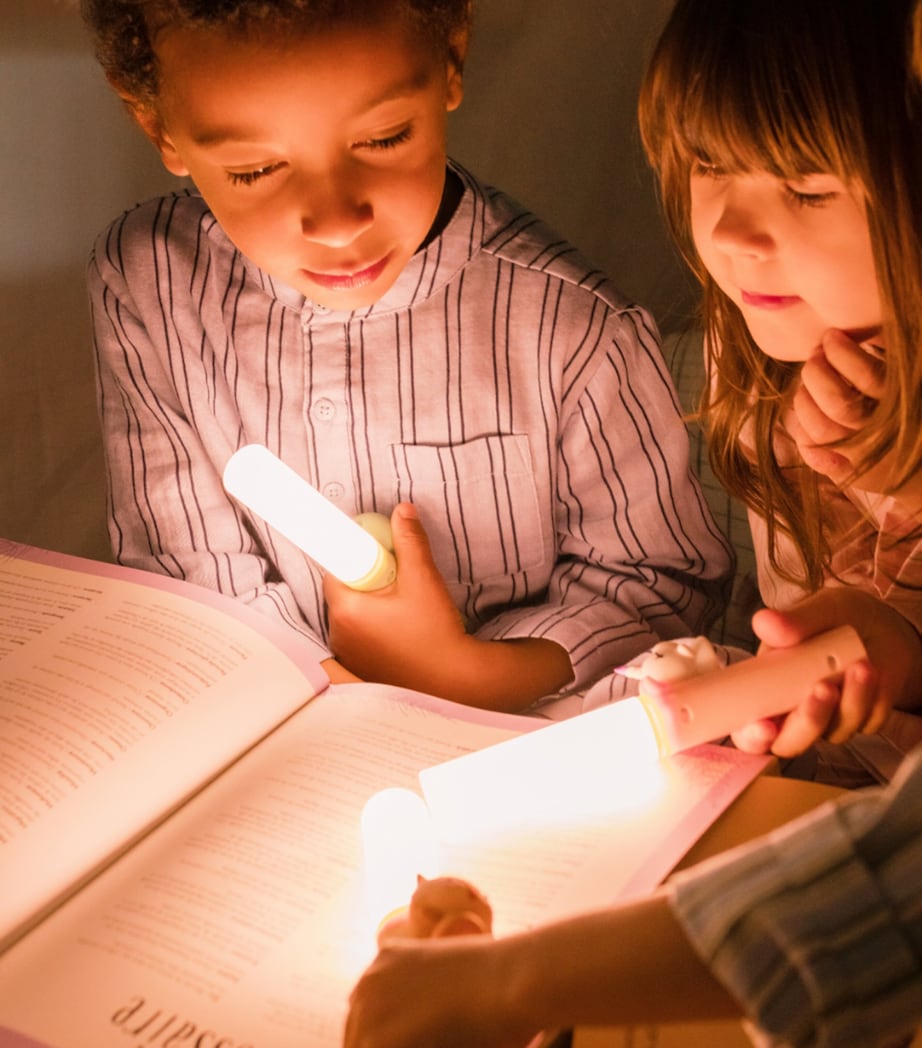 Zoo Light Fox MULTI Image 8