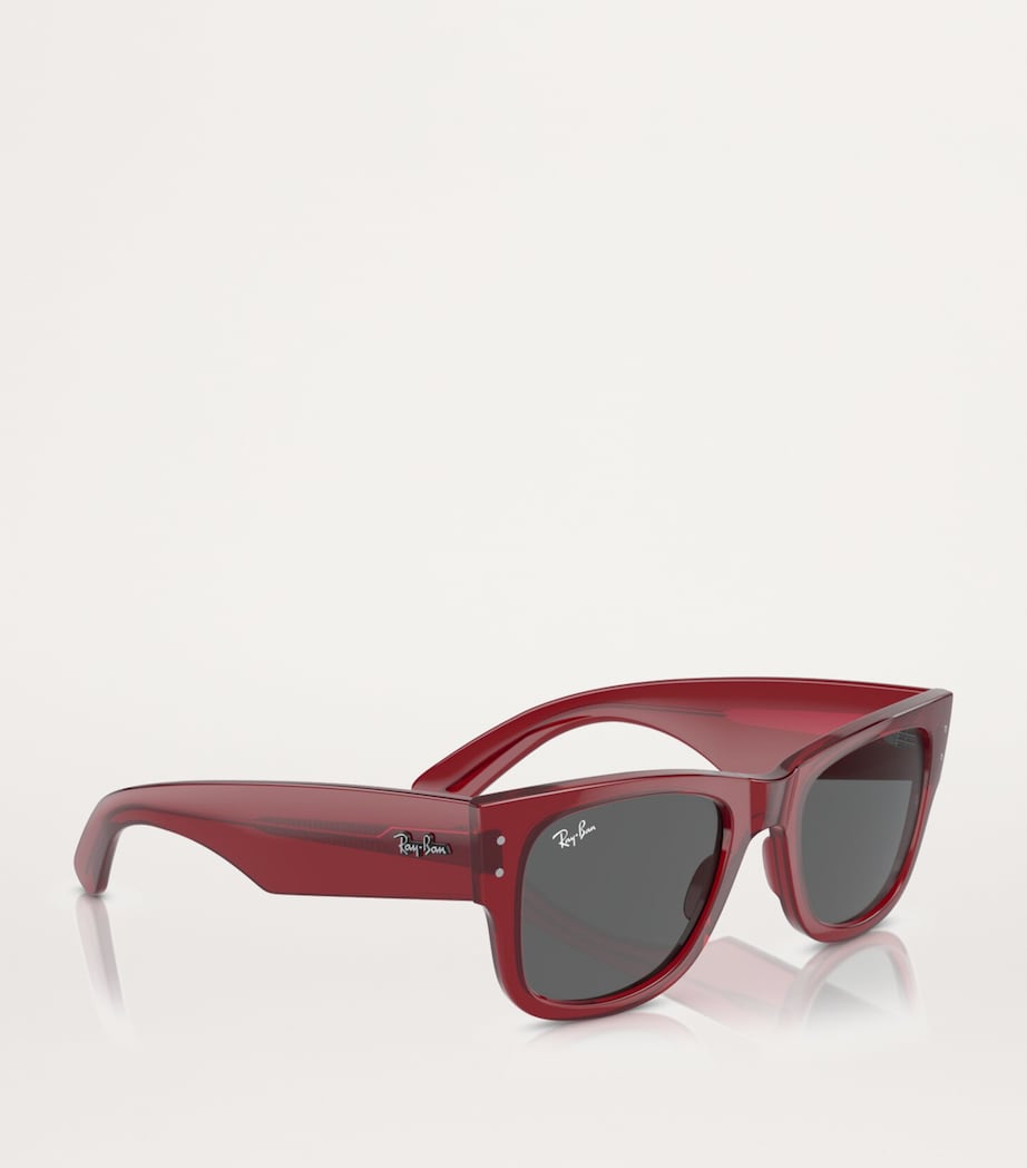 Propionate 0RB0840S Sunglasses 6679B1 Image 6