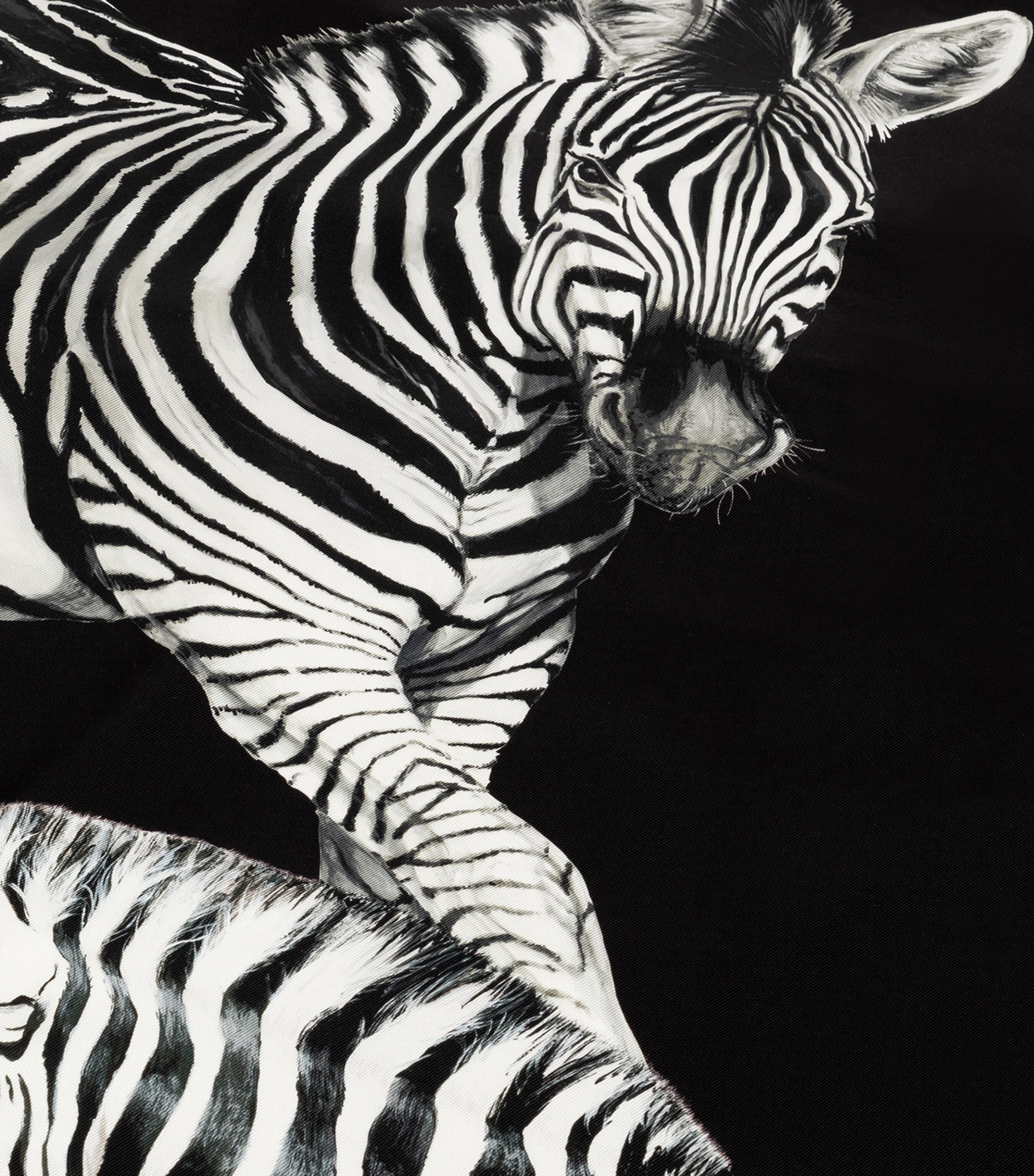 Silk Zebra Quilted Throw (140cm x 180cm) UZ007 ZEBRE F DO NER Image 3