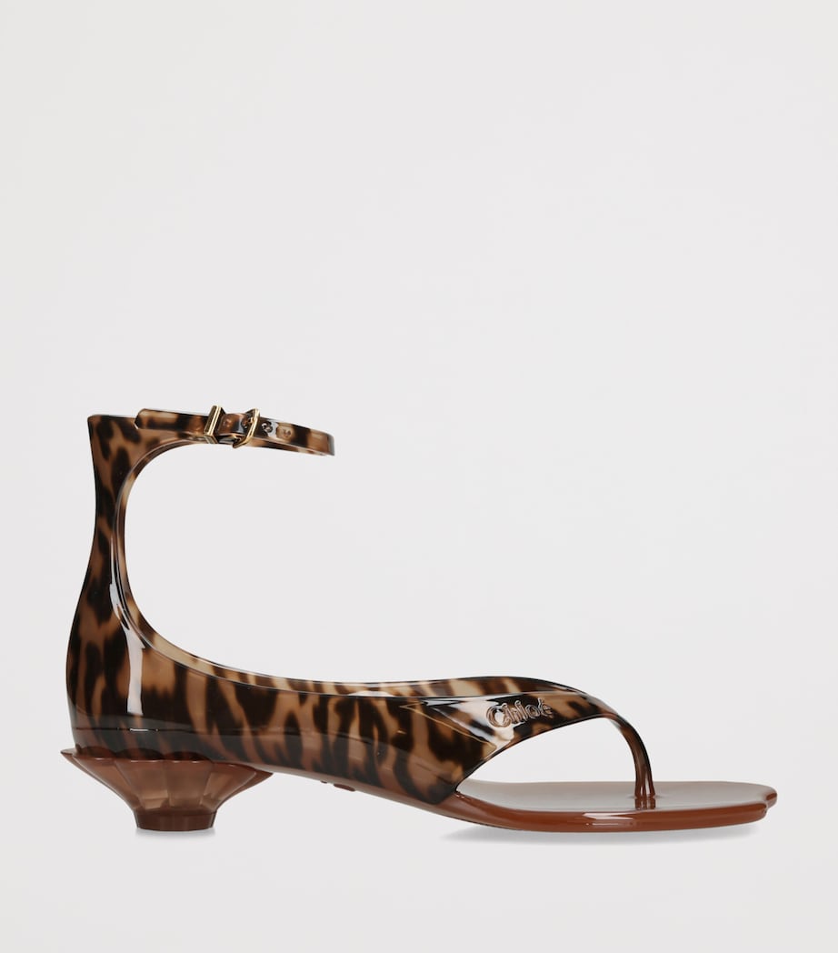 Chloé Jelly Heeled Sandals 30 Blk/brown Image 3