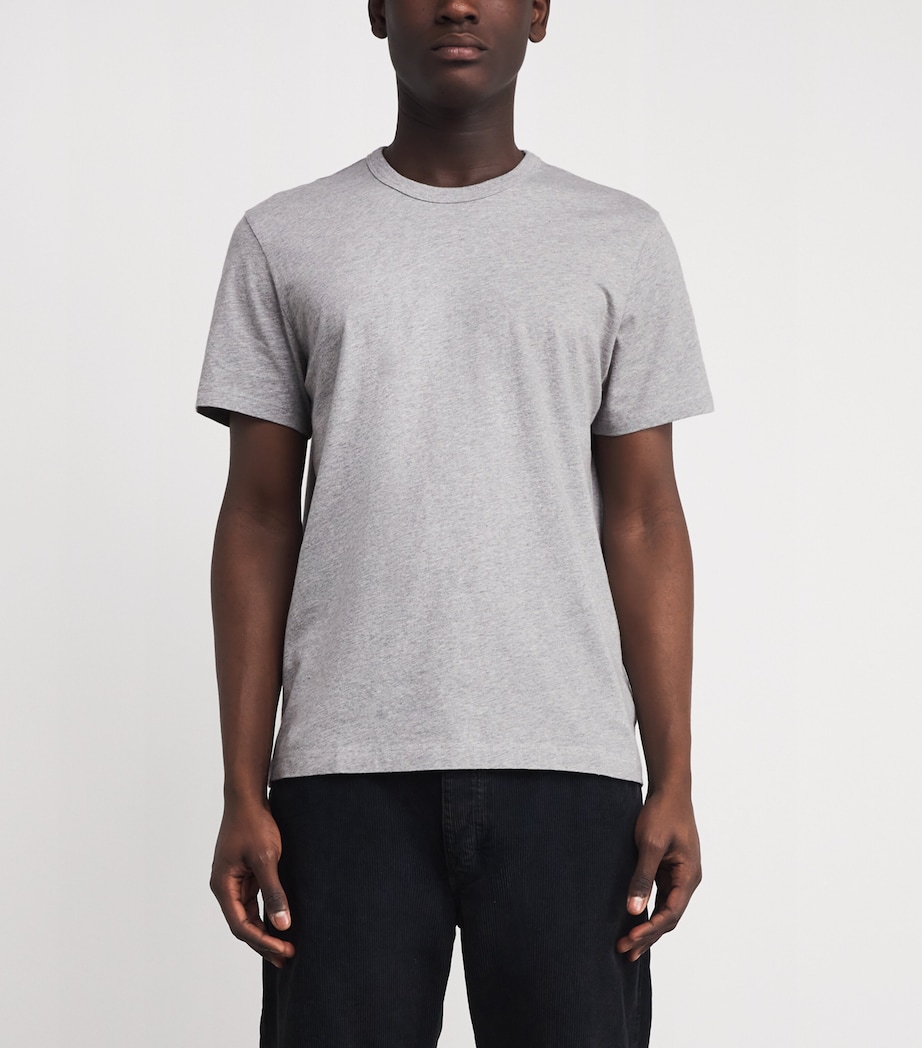 Organic Cotton Everyday T-Shirt HTHRG Image 3