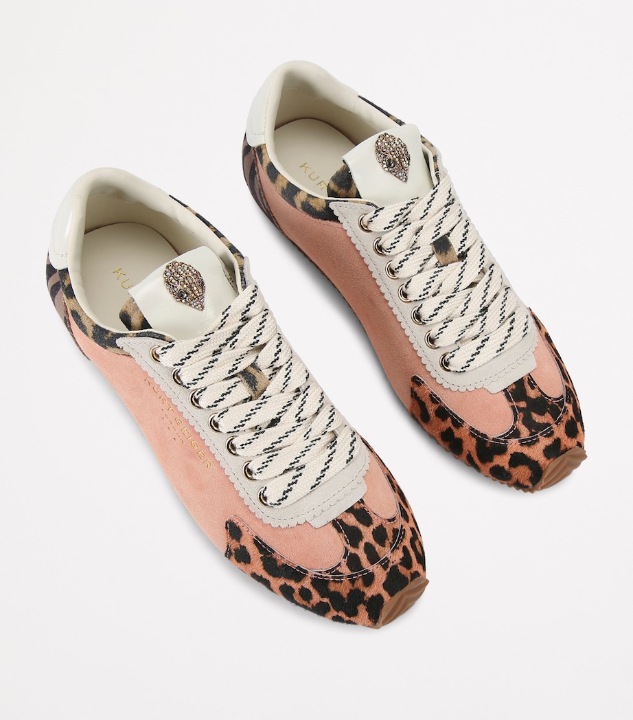 Kurt Geiger London Suede Islington Sneakers Peach Image 4