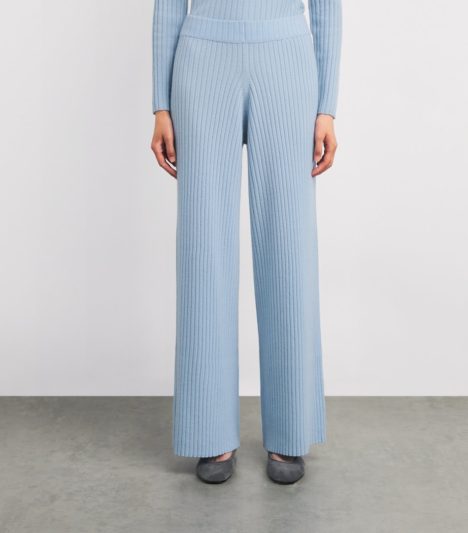 Cashmere Rib Trousers 11/11 BLUE Image 3