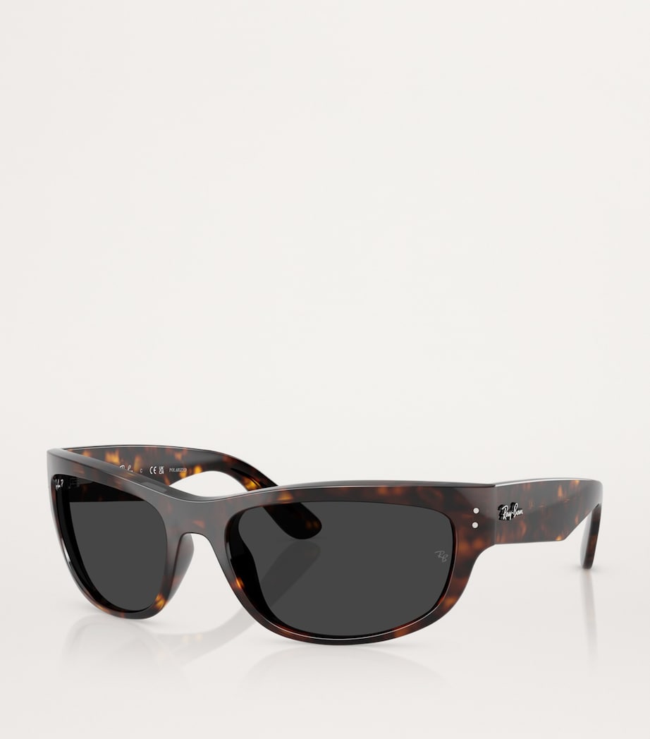 RB2289 Mega Balorama Sunglasses 902/48 Image 2