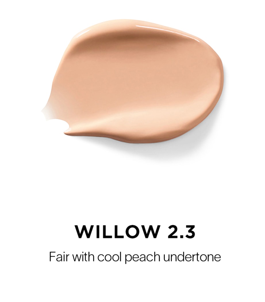 Vanish Airbrush Concealer WILLOW 2.3 Image 2