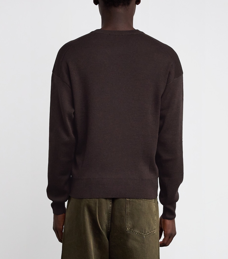 Merino Wool-Blend V-Neck Sweater DARK CACAO BR397 Image 3