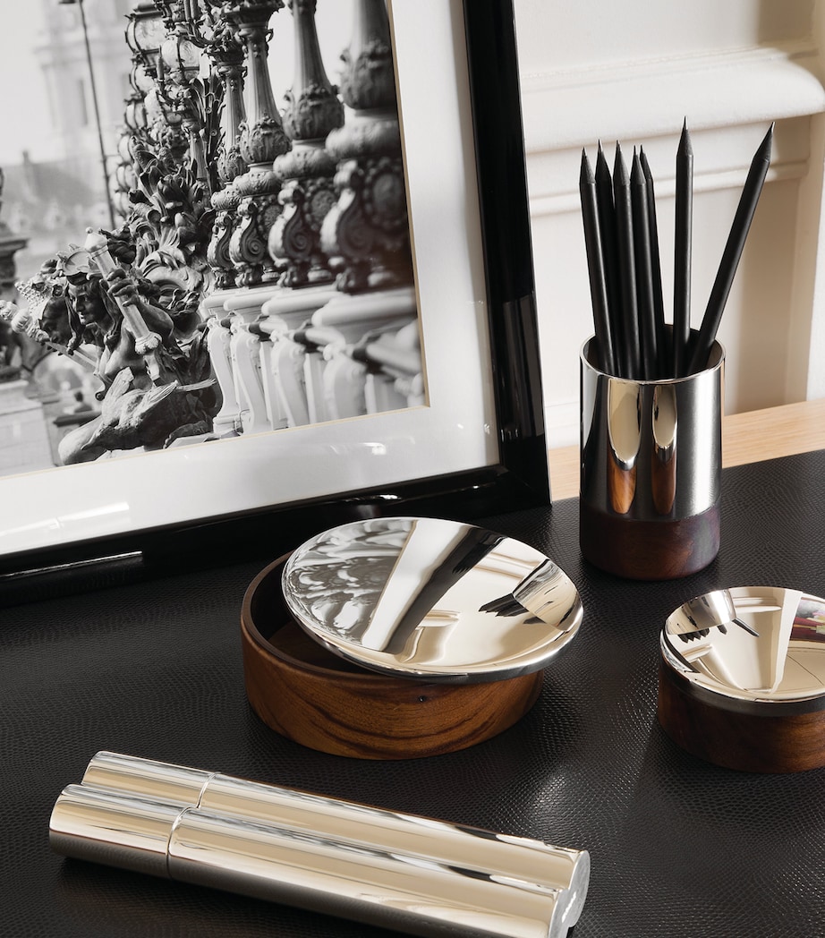 Small Silver-Plated Wood Uni Box SILVER Image 3