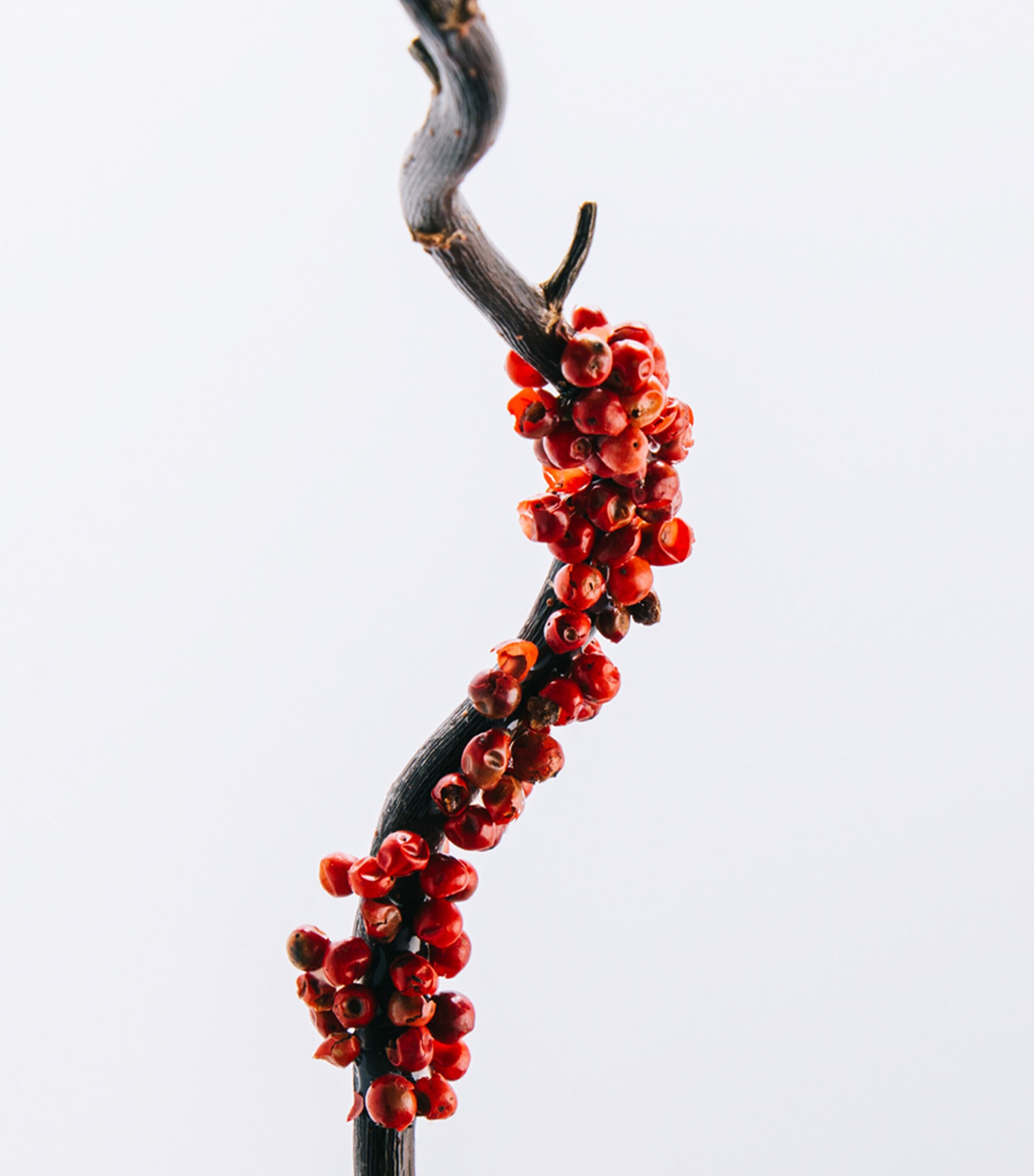 7 Eau de Toilette (50Ml) NO COLOUR Image 5