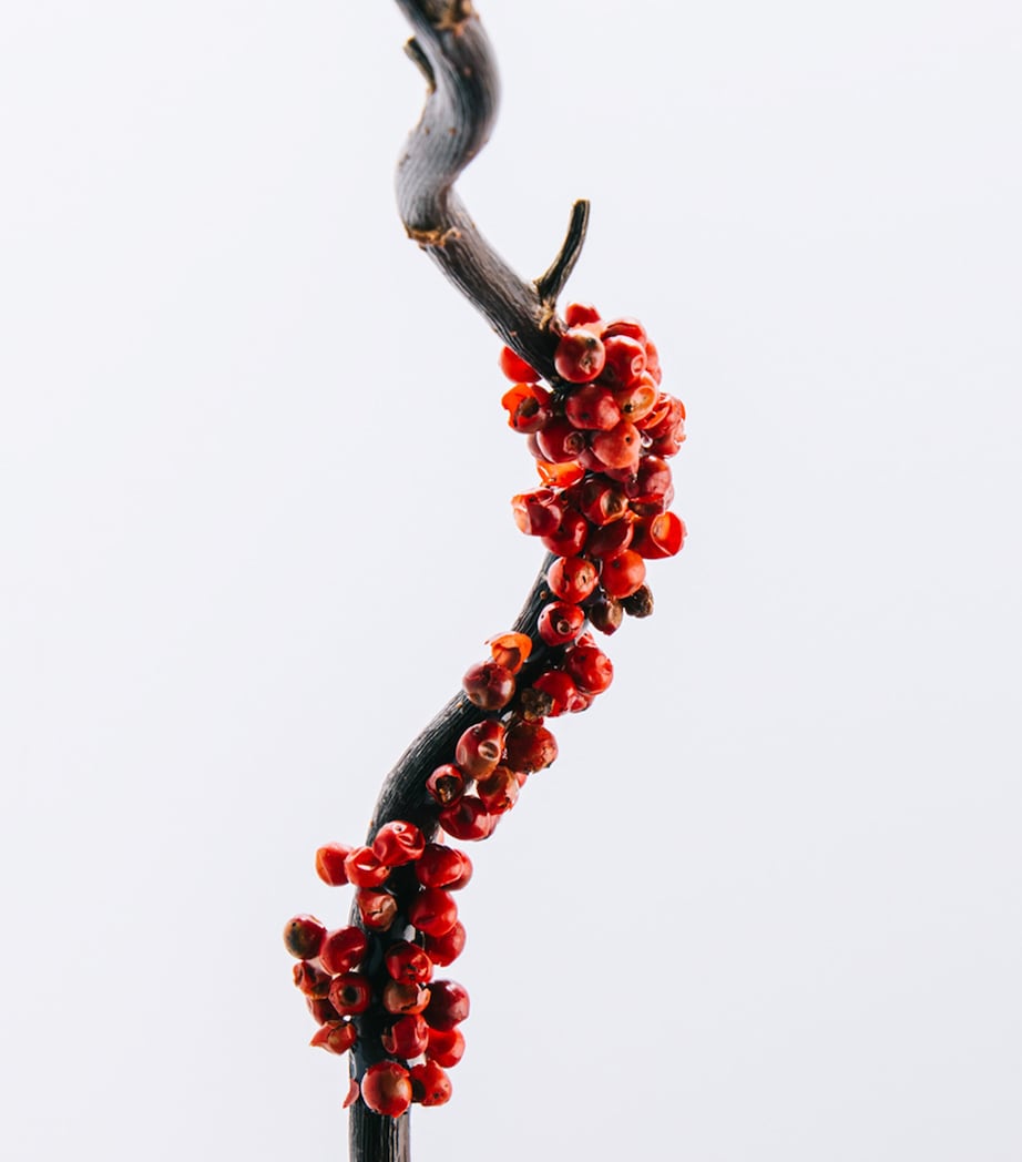 7 Eau de Toilette (50Ml) NO COLOUR Image 5