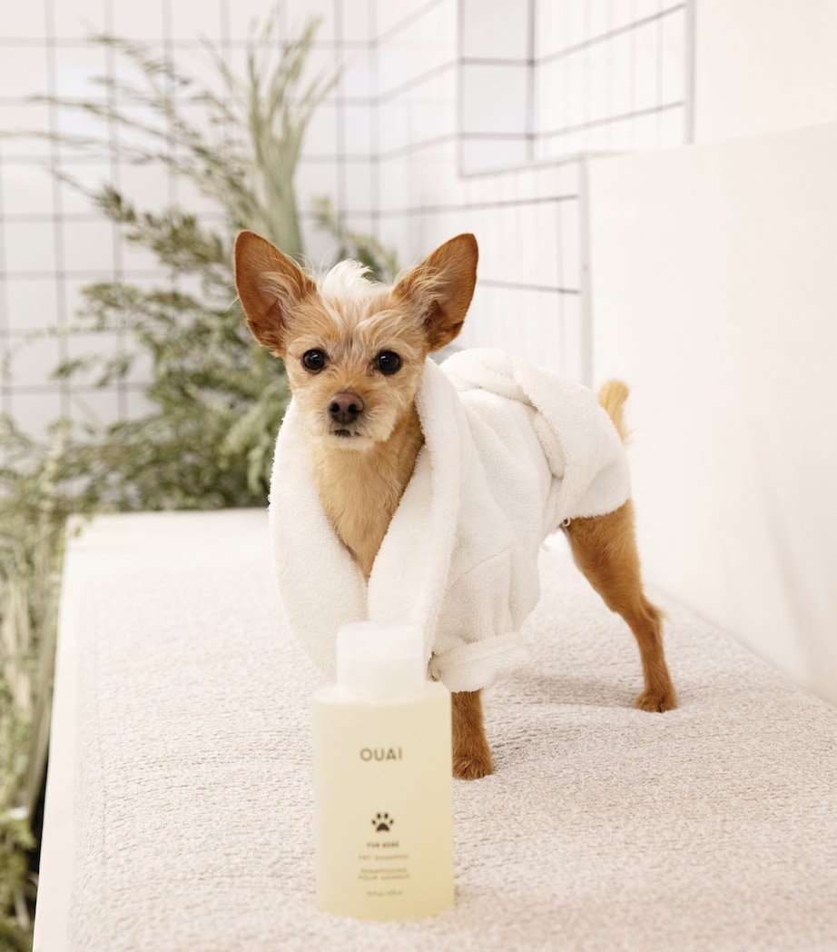 Ouai Fur Bébé Pet Shampoo (474ml) Image 5