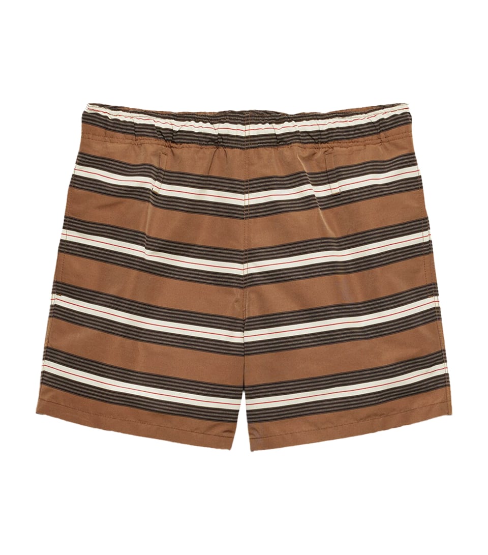 Stripe Swim Shorts