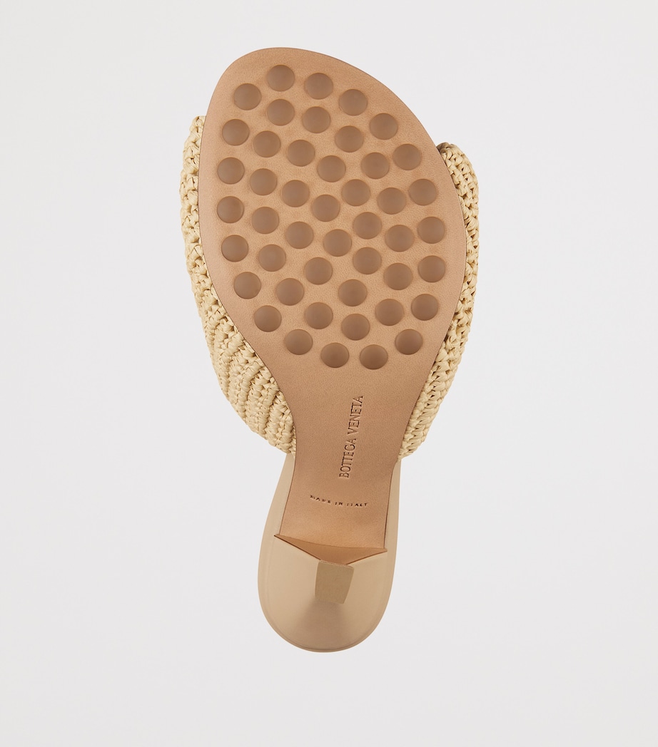 Raffia Blink Mules 80 9218 Image 4