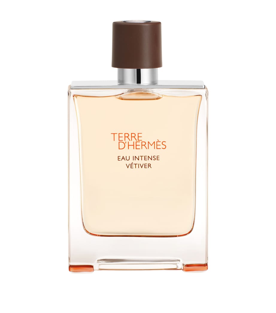 HERMÈS Terre D'Hermès Eau Intense Vétiver Eau de Parfum (100ml) Image 1