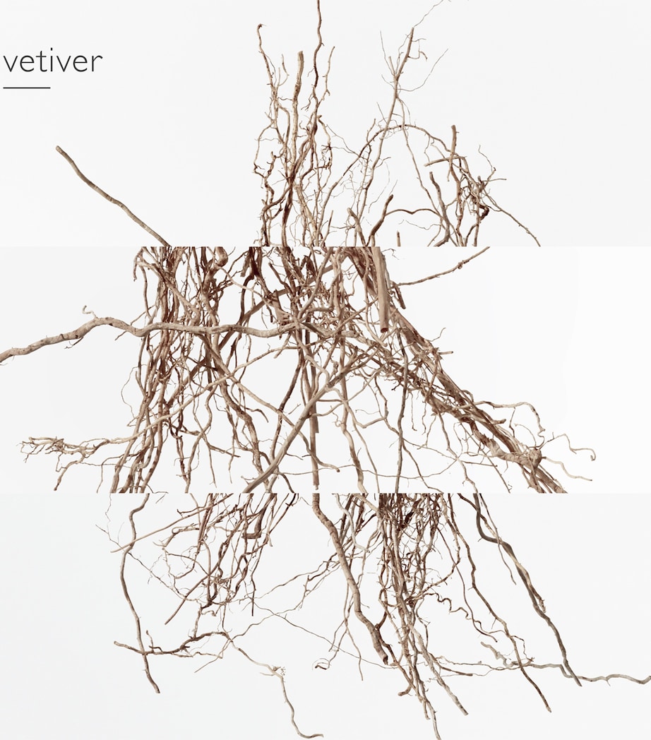 Terre D'Hermès Eau Intense Vétiver Eau de Parfum (50Ml) NO COLOUR Image 2