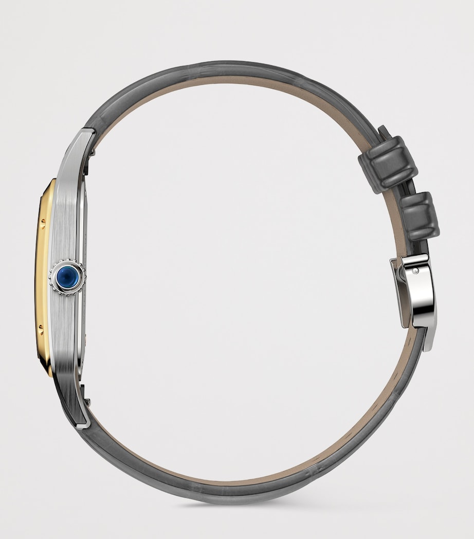 Cartier Large Stainless Steel and Yellow Gold Santos-Dumont Watch 31.4mm Grey Satin Image 2