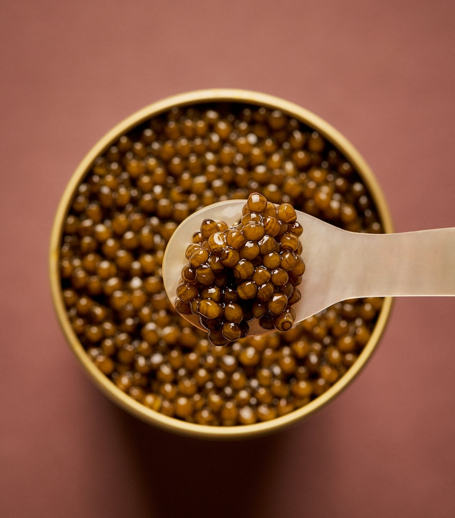 The Ultimate Christmas Hamper NO COLOUR Image 5