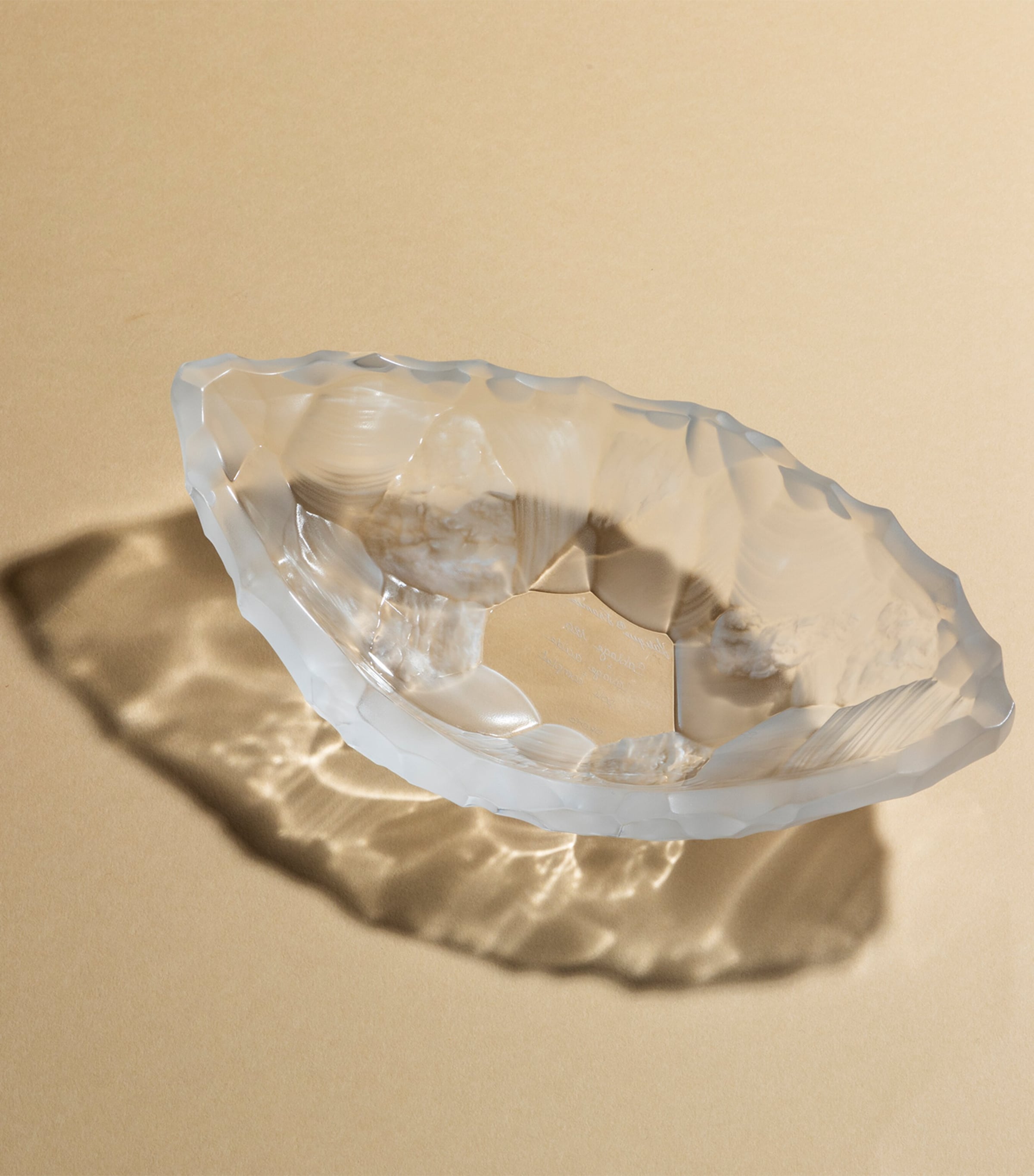 Small Crystal Silex Bowl (22cm) INCOLORE Image 2