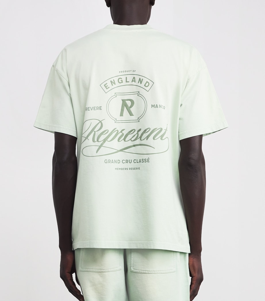 Cotton Grand Vintage T-Shirt WASHED SAGE Image 4