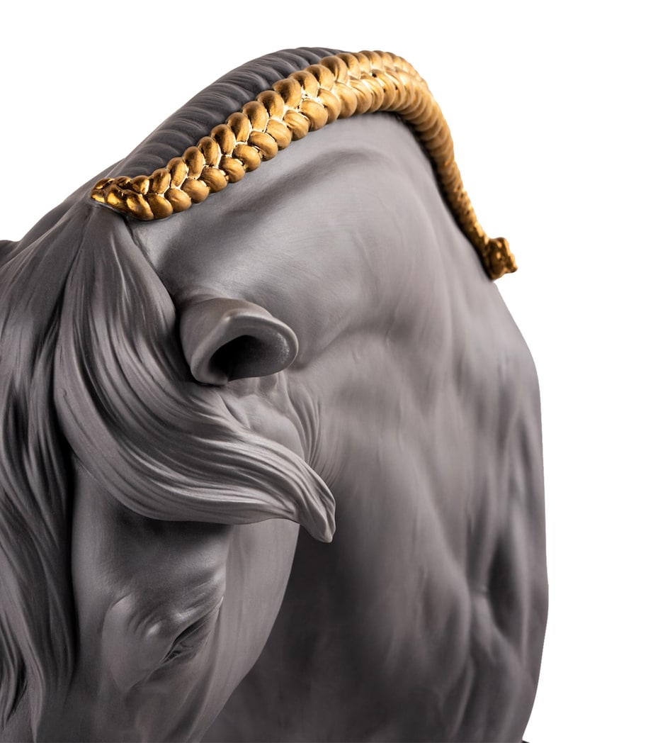 Equinus Horse Bust NO COLOUR Image 3