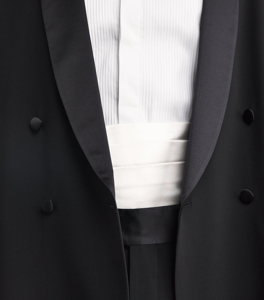 Silk Cummerbund 00010 Image 2