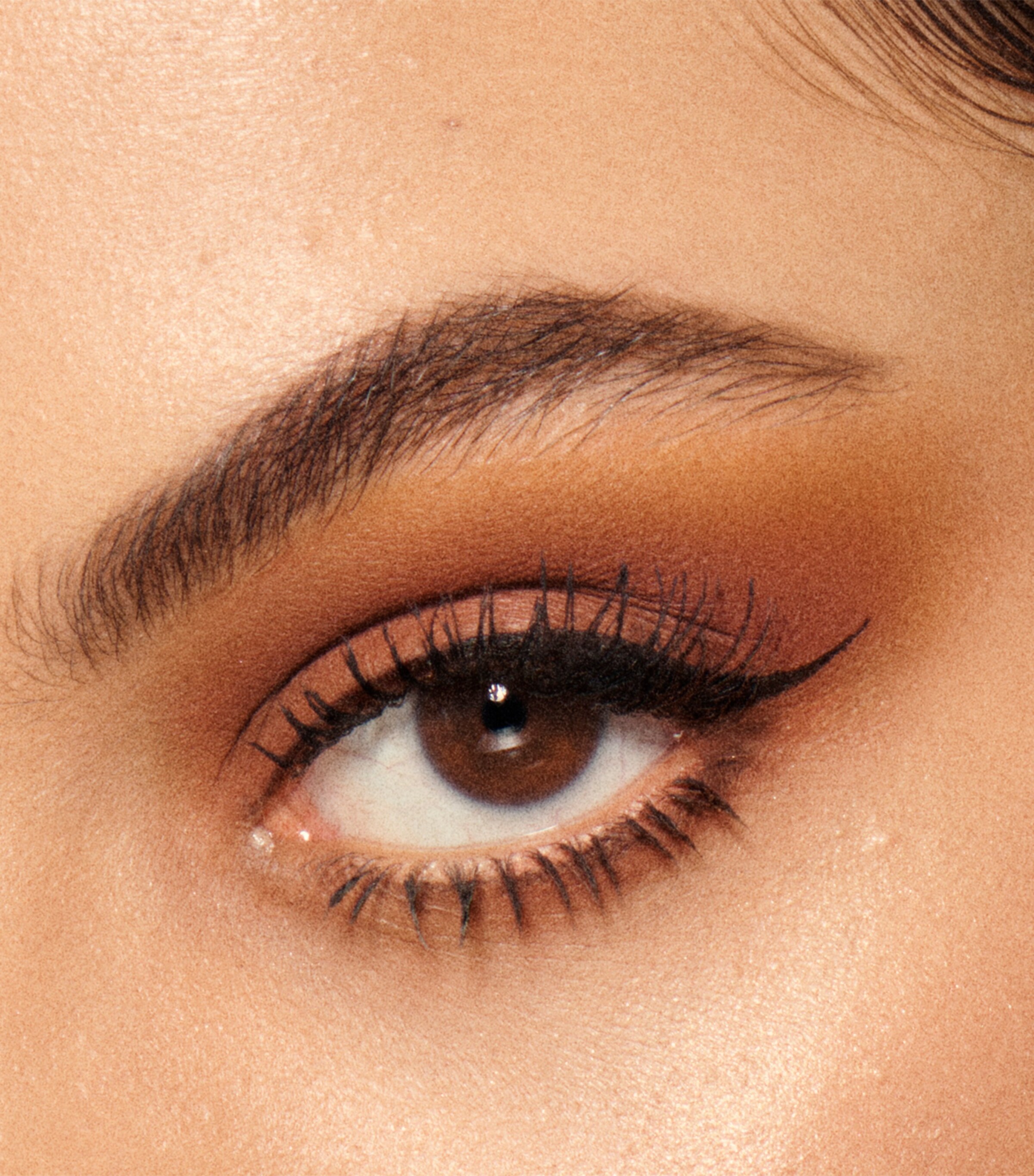 Soul Shadows Eyeshadow Palette TERRA Image 3