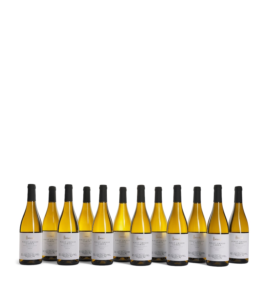 Harrods Pinot Grigio Wine Case (12 Bottles) - Lombardy, Italy Image 2