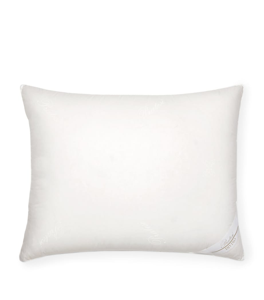 Down Medium Divino Oxford Pillow (50cm x 75cm) NO COLOUR Image 2