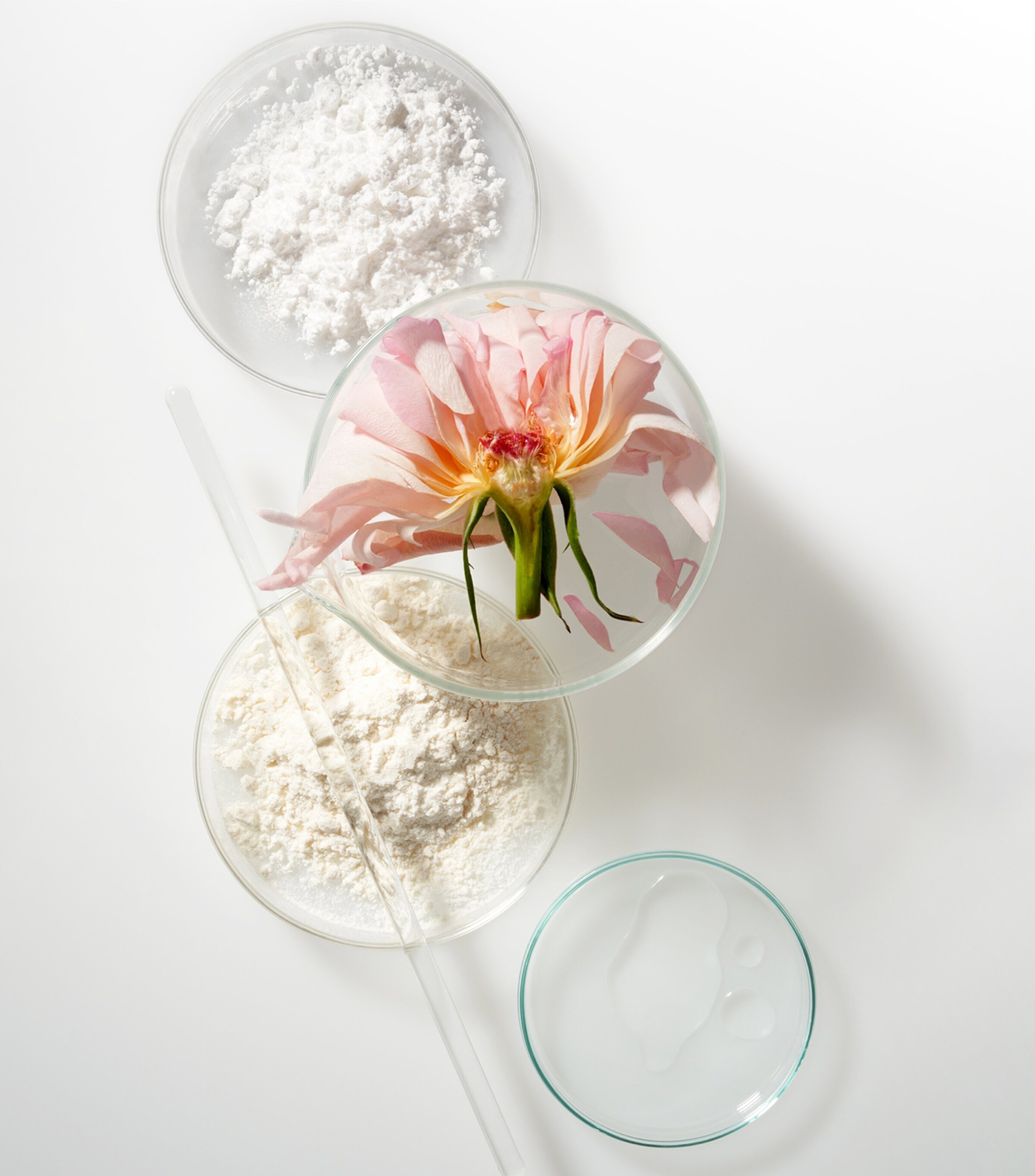 Noble Panacea The Elemental Cleansing Balm and Exfoliating Refiner Image 5