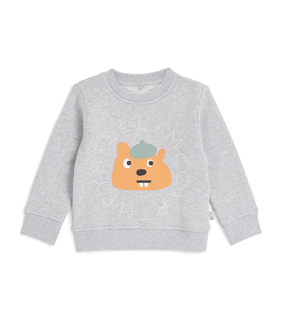 Squirrel Print Sweatshirt (3-36 Months) 807GRIGIO MEDIO MEL. Image 1