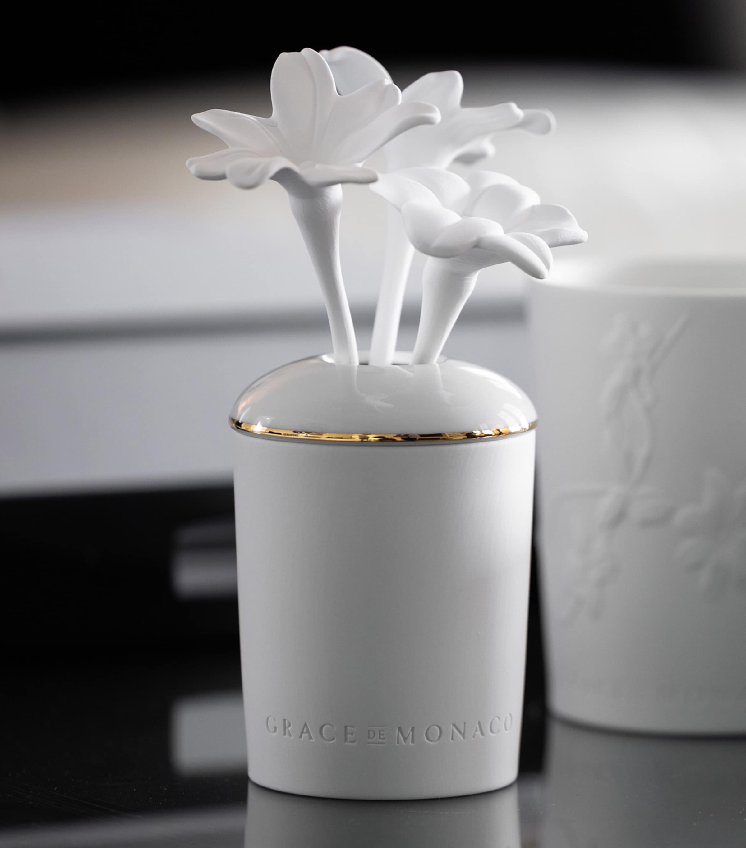 Grace De Monaco Ceramic Promenade Sur Le Rocher Diffuser Image 2