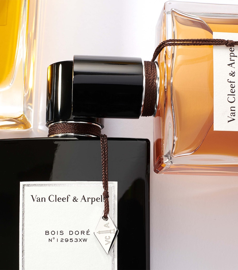 Collection Extraordinaire Bois Doré Eau de Parfum (75ml) NO COLOUR Image 4
