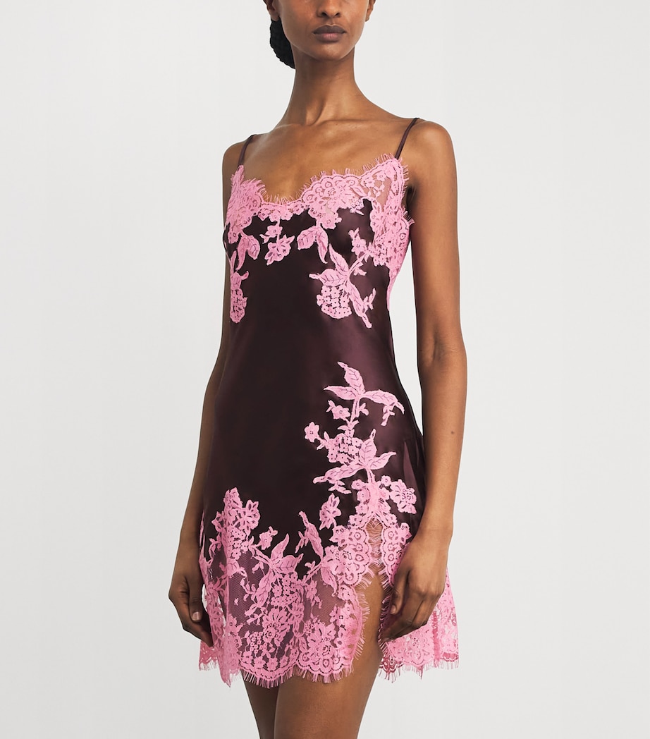 Marjolaine Womens Silk-Lace Mini Slip Dress Brun/blush Image 4