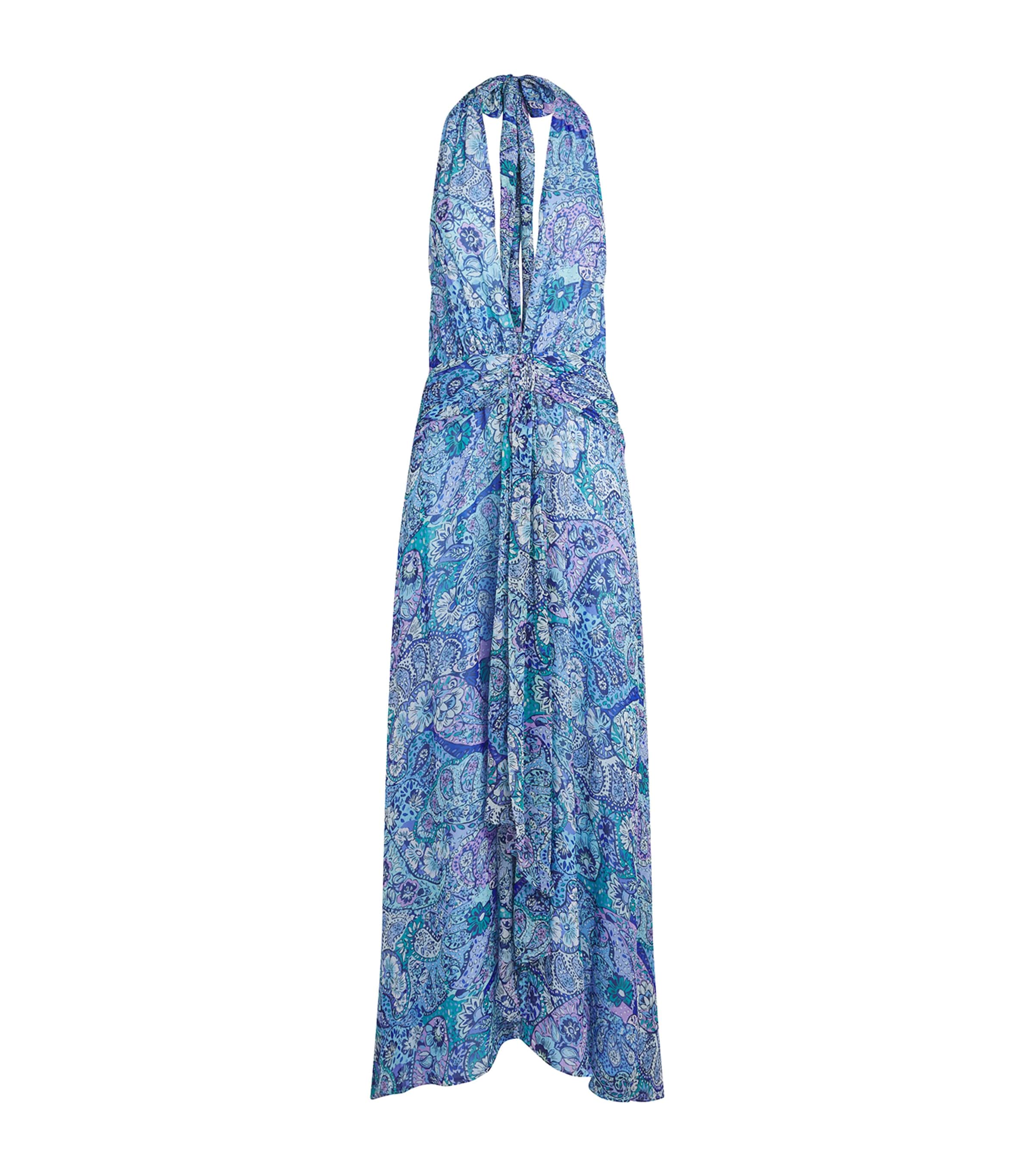 Rixo Womens Chiffon Alaina Maxi Dress Paisley Floral Blue Image 1