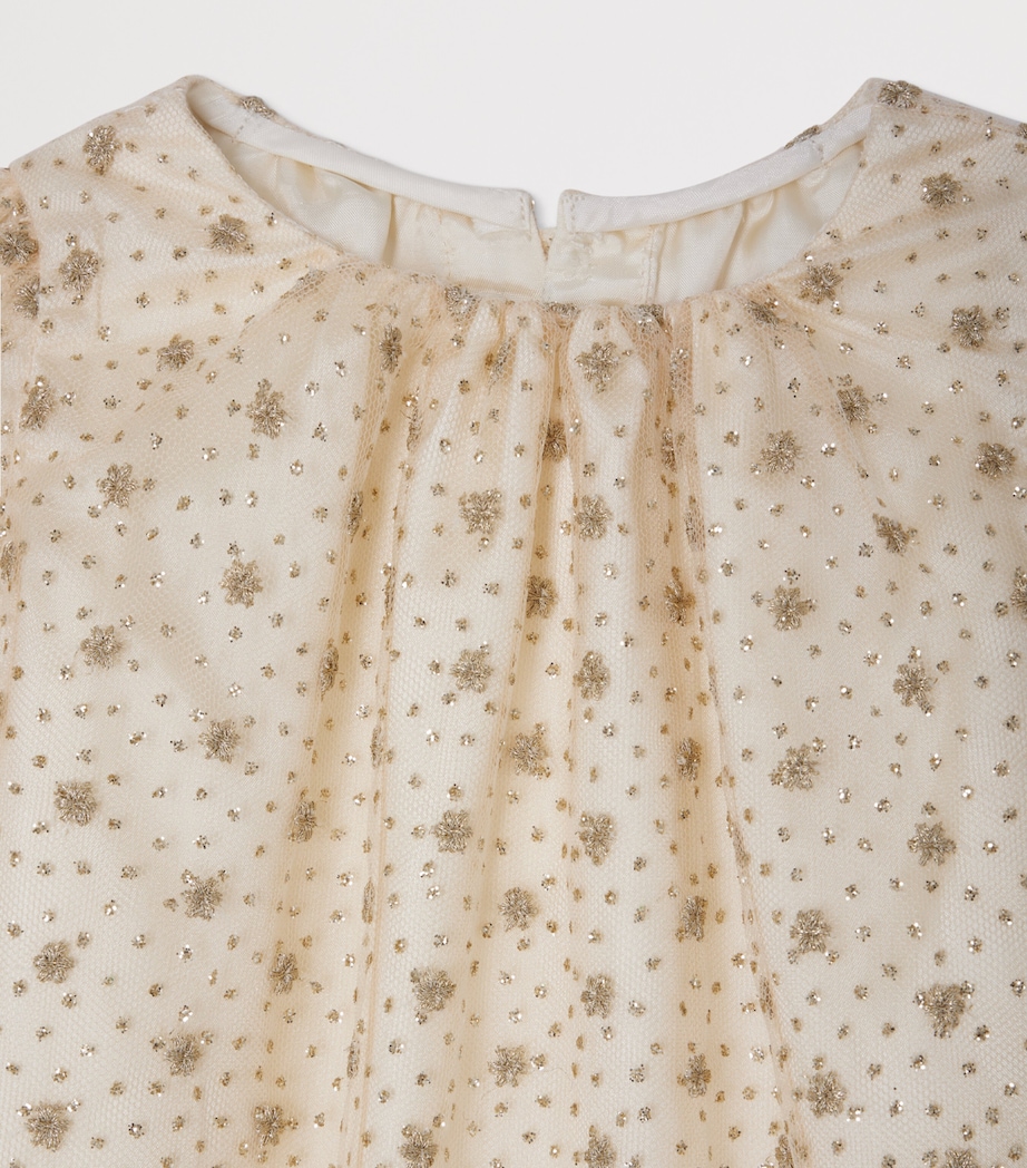 Tulle Emboidered Jelisa Dress (6 Months) UPB OR Image 3